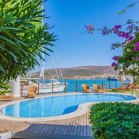 Port Hotel 3*